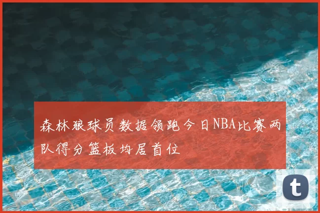 森林狼球员数据领跑今日NBA比赛两队得分篮板均居首位
