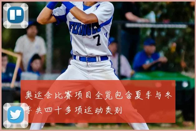 奥运会比赛项目全览包含夏季与冬季共四十多项运动类别